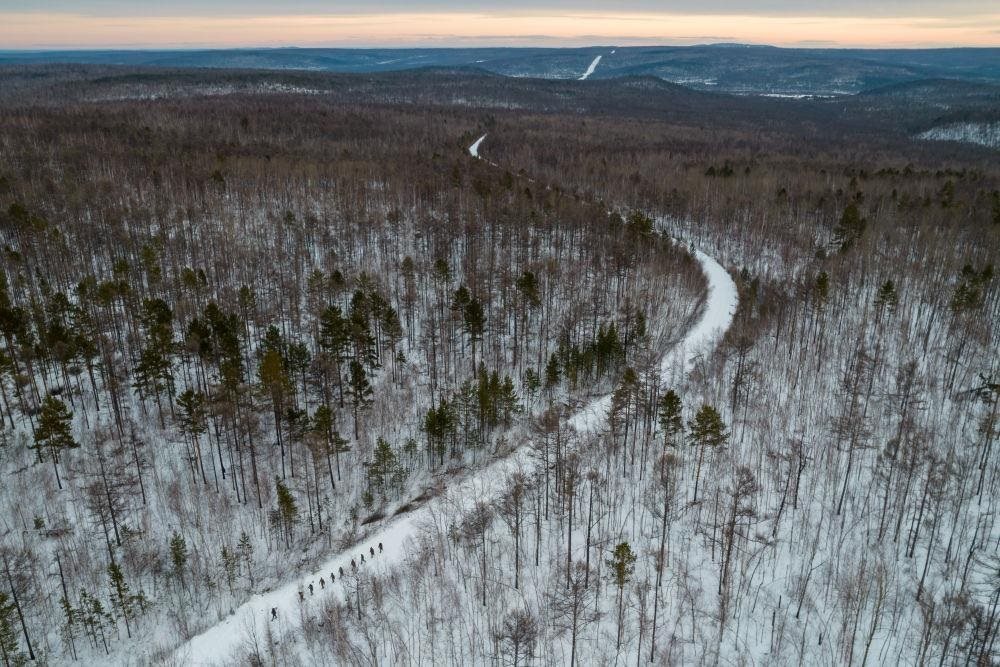 △2023年1月，漠河林場數(shù)十名職工自發(fā)組成的森林撫育隊伍，在人跡罕至的山林中作業(yè)。