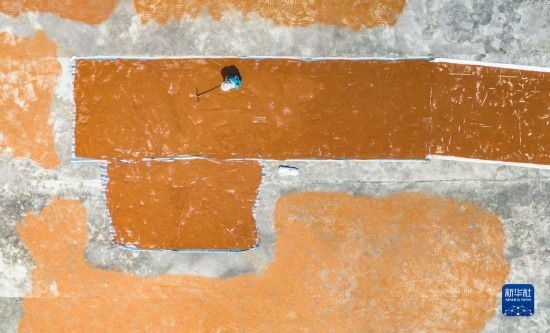 9月16日，農(nóng)民在貴州省安順市西秀區(qū)大西橋鎮(zhèn)吉昌村晾曬高粱（無人機(jī)照片）。