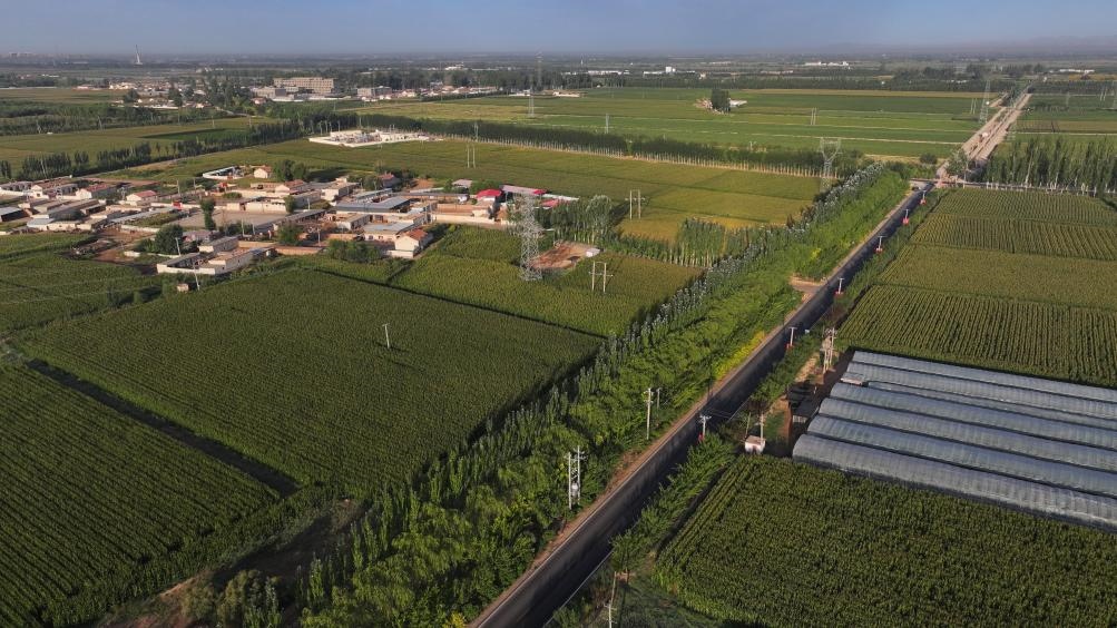 東興村周邊建起防護(hù)林網(wǎng)（無人機(jī)照片，2023年9月12日攝）。新華社記者李云平 攝