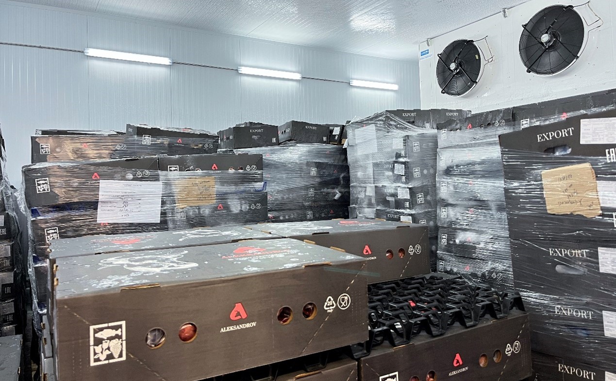 恒溫冷庫中，包裝好的牛肉等待發(fā)往中國。人民網(wǎng)記者 朱虹攝