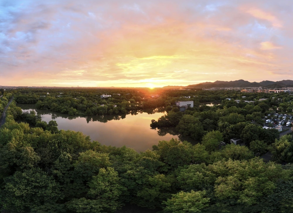 杭州西溪濕地日出景觀。