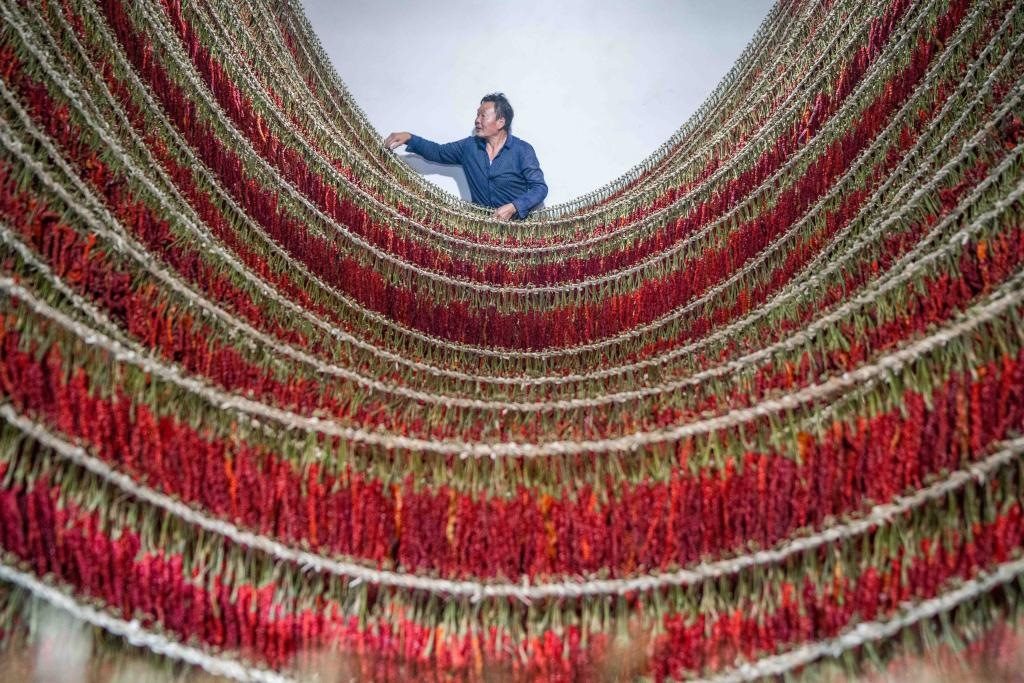 在貴州省畢節(jié)市大方縣理化鄉(xiāng)金雞村，村民查看辣椒烘干情況。新華社發(fā) 羅大富攝