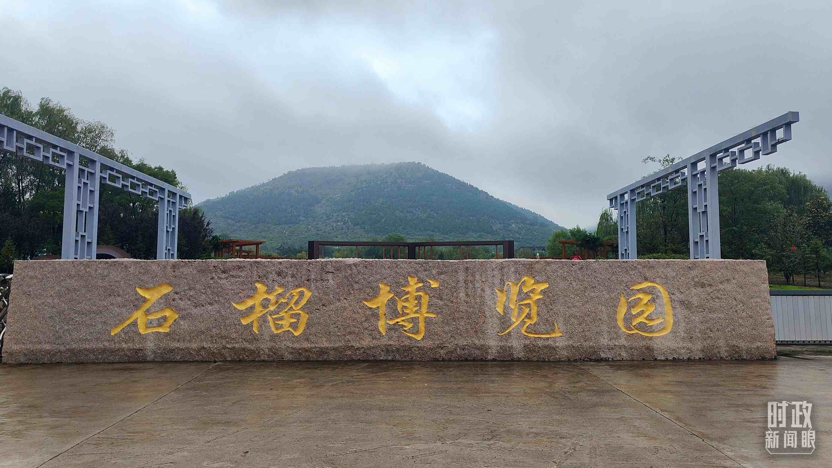 △石榴種質資源庫位于石榴博覽園內(nèi)。（總臺央視記者楊立峰拍攝）