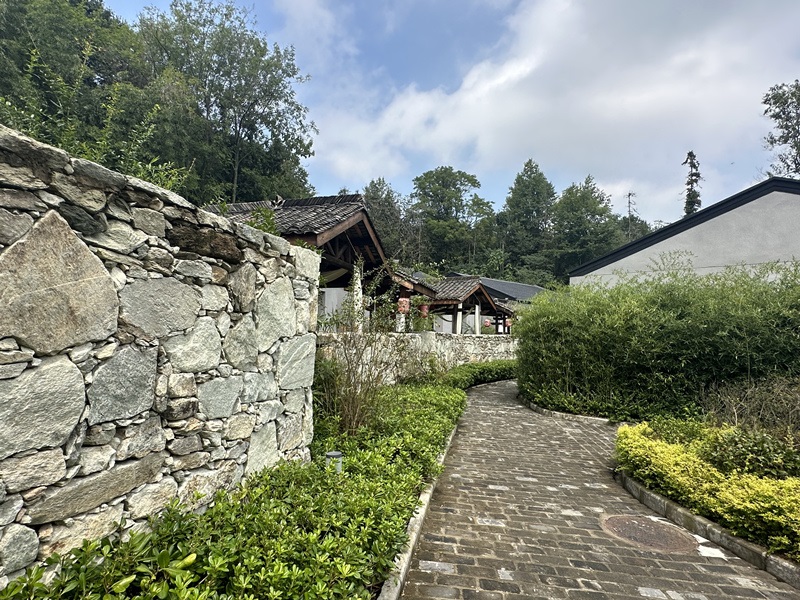 眾多民宿坐落于夫子山山麓。人民網(wǎng) 王紹紹攝