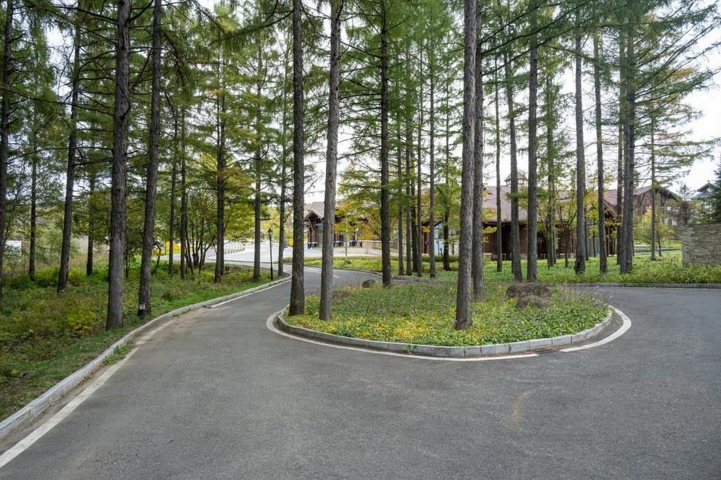 園區(qū)里“路讓樹”成為行為準(zhǔn)則。王哲攝