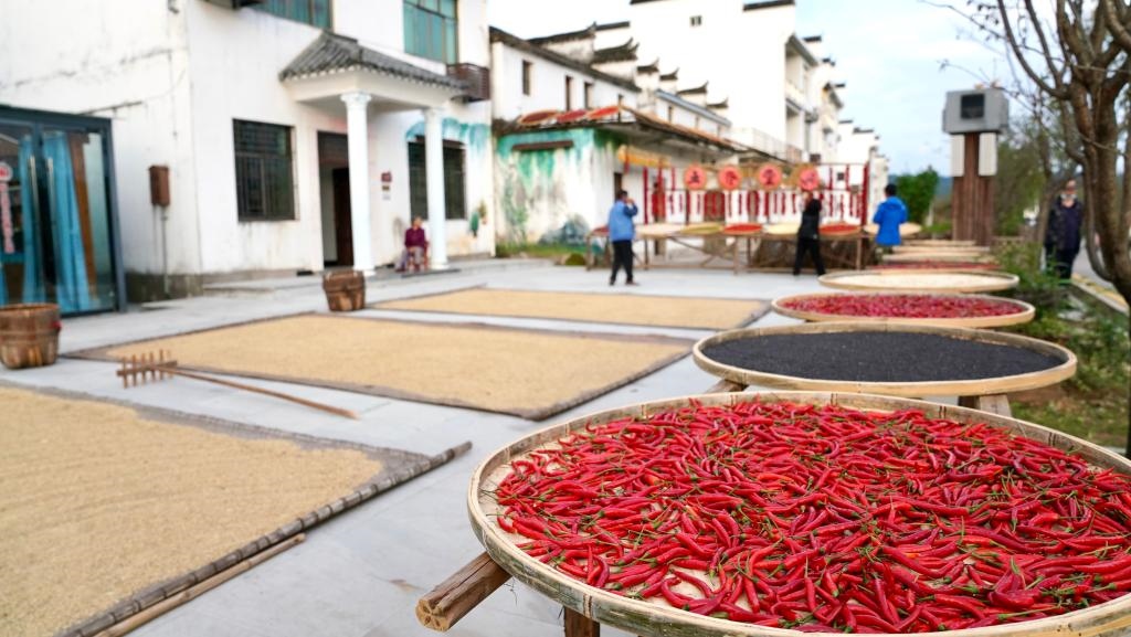 近日拍攝的江西省上饒市婺源縣秋口鎮(zhèn)王村石門自然村。新華社記者 胡晨歡 攝