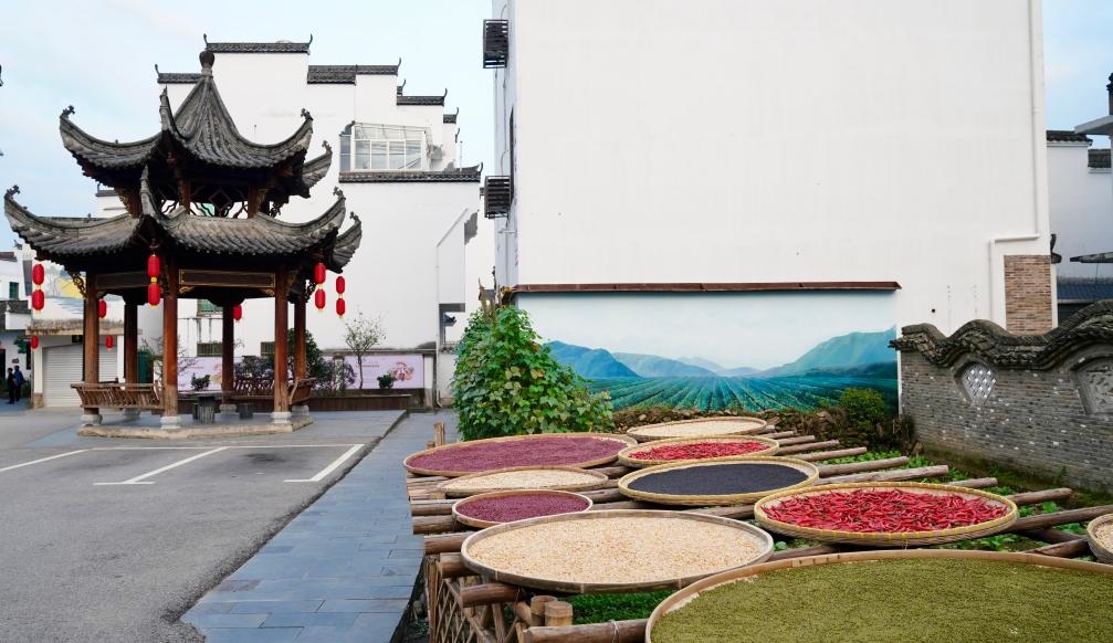 近日拍攝的江西省上饒市婺源縣秋口鎮(zhèn)王村石門自然村曬秋場景。新華社記者 胡晨歡 攝