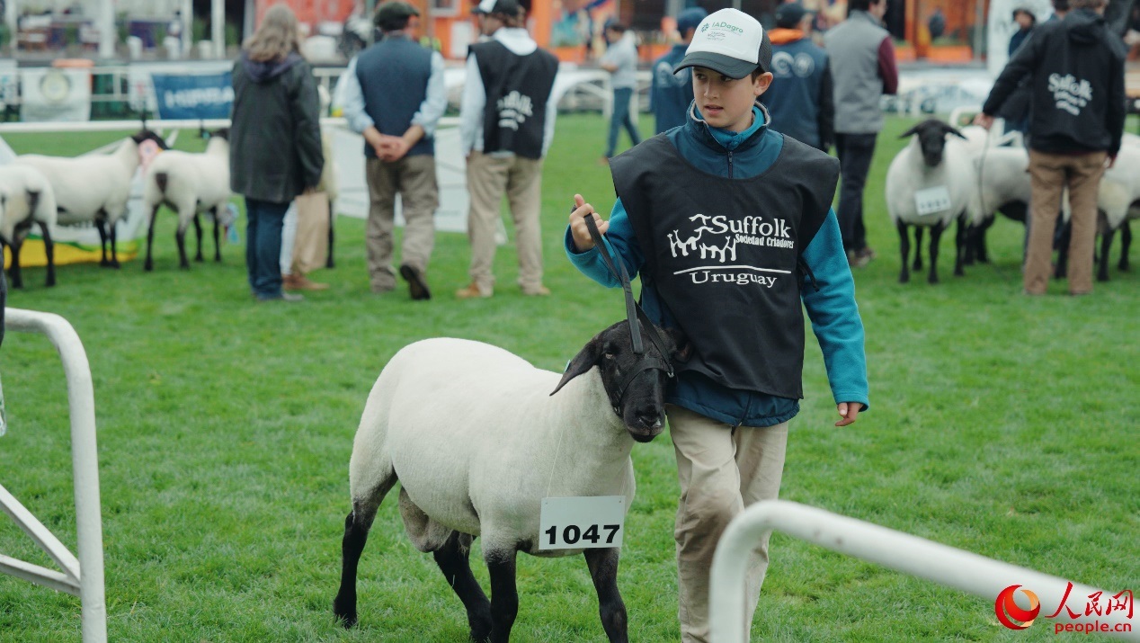 烏拉圭第118屆普拉多牧農(nóng)業(yè)國(guó)際博覽會(huì)現(xiàn)場(chǎng)。人民網(wǎng)記者 張若涵攝