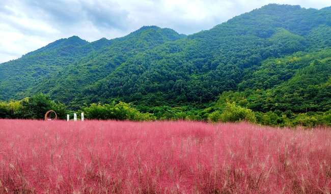寶成線鳳縣境內的路邊。