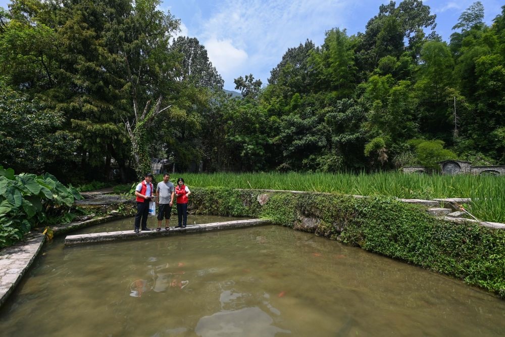 2023年8月17日，浙江省麗水市青田縣方山鄉(xiāng)田魚養(yǎng)殖戶吳勇強(qiáng)（中）在接受青田農(nóng)商銀行“小蜻蜓”服務(wù)隊(duì)志愿者提供的“惠民易貸”上門服務(wù)。近年來，青田縣金融發(fā)展中心聯(lián)合各個(gè)金融機(jī)構(gòu)優(yōu)化配套鄉(xiāng)村振興金融服務(wù)，推出“惠民易貸”“農(nóng)家樂貸”等金融產(chǎn)品，重點(diǎn)支持涉農(nóng)龍頭企業(yè)及特色種養(yǎng)殖產(chǎn)業(yè)。新華社記者 徐昱 攝