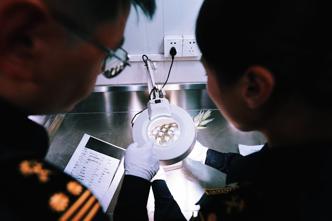 上海海關關員針對檢疫性有害生物和農(nóng)藥殘留進行檢疫檢驗。陳興洲攝