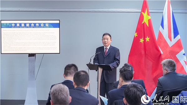 武漢市人大常委會副主任龍良文致辭。人民網(wǎng) 郭錦標(biāo)攝