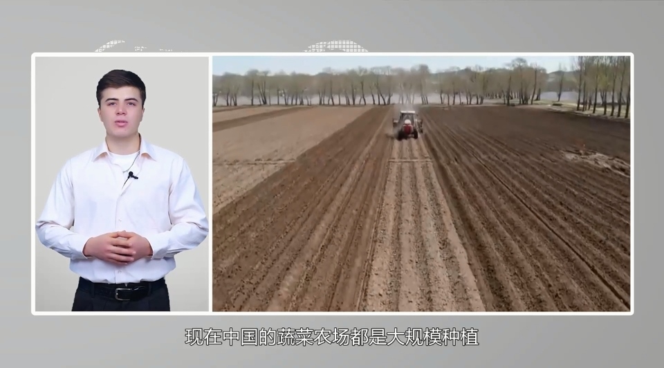 【國際3分鐘】中國大蒜成國家威脅？美政客反智言論背后的問題值得思考_fororder_2