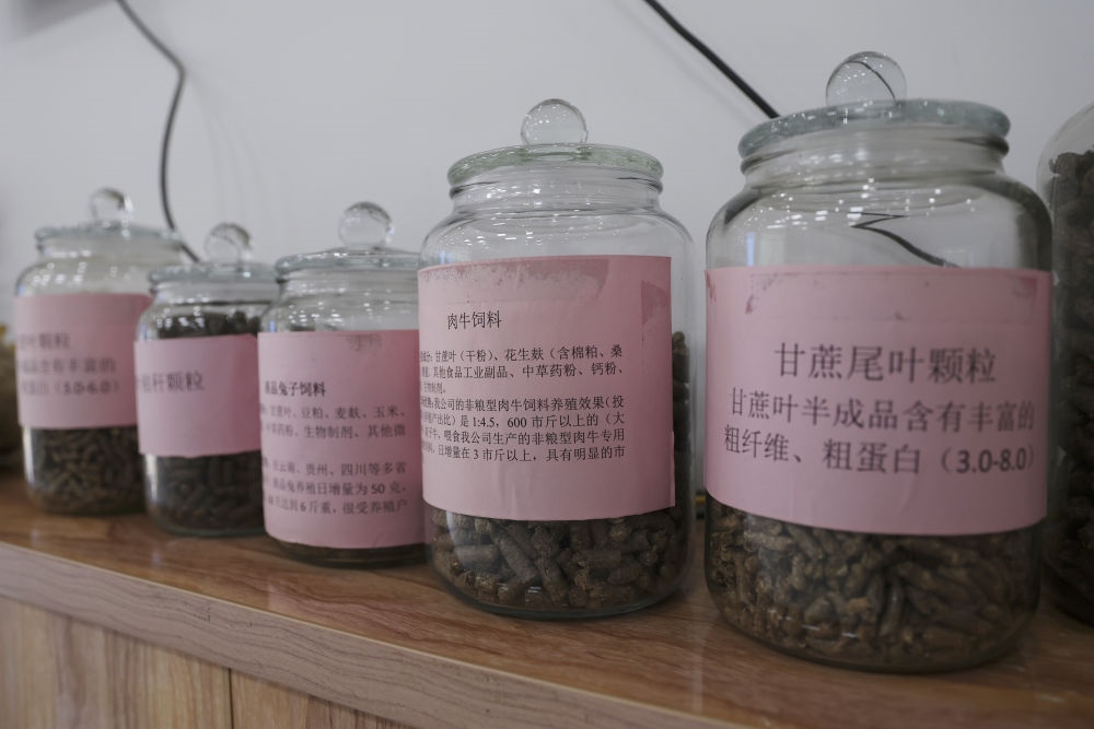 這是12月13日在來賓市興賓區(qū)小平陽鎮(zhèn)一家飼料廠拍攝的以甘蔗尾葉為原料制成的飼料。