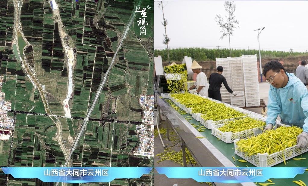 當(dāng)前，大同市開發(fā)黃花菜品、食品、飲品、功能食品、化妝品、文創(chuàng)產(chǎn)品六大系列130余種，全產(chǎn)業(yè)鏈產(chǎn)值超40億元。