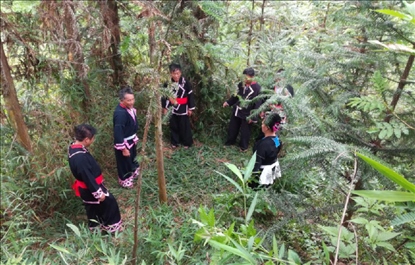 “瑤老”人民調解員翻山越嶺開展現(xiàn)場調解。