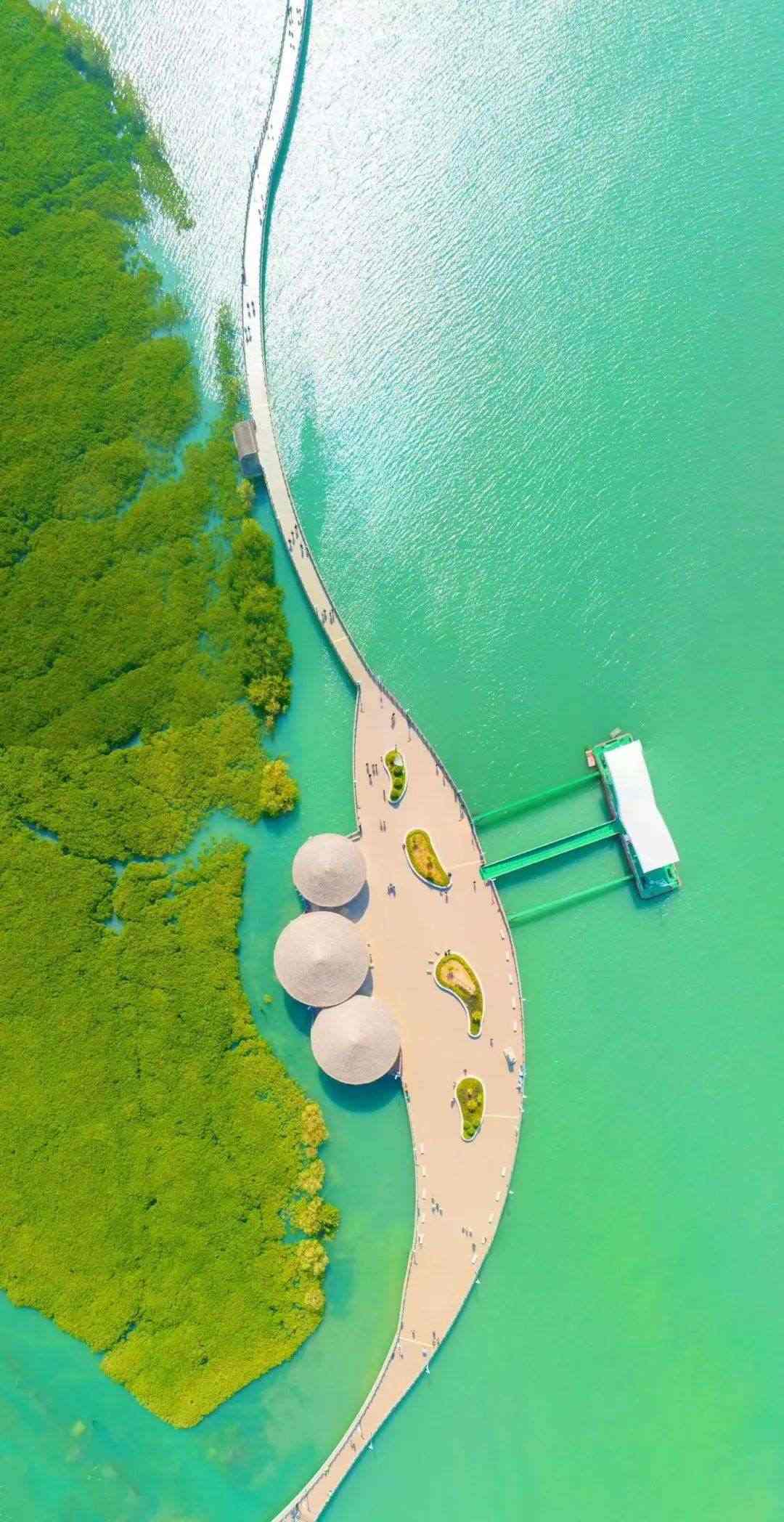 下潭尾紅樹林公園(人民網(wǎng)記者 陳博攝)