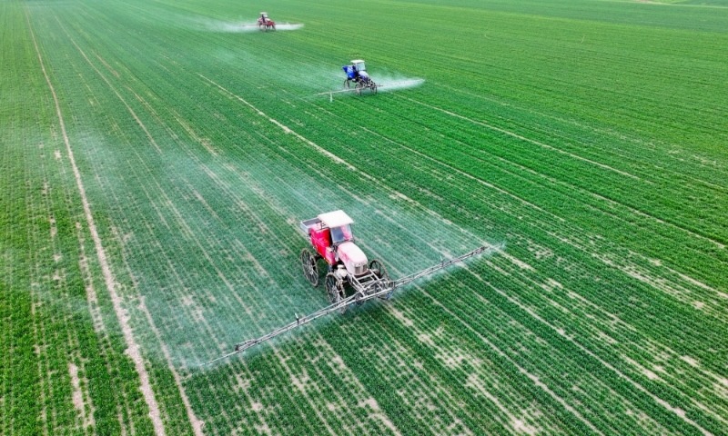 2024年2月18日，安徽省亳州市，利辛縣紀(jì)王場(chǎng)鄉(xiāng)孫老家村麥田，農(nóng)民駕駛自走式高桿噴霧機(jī)對(duì)小麥進(jìn)行噴藥作業(yè)。