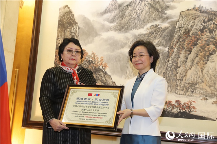 沈大使向?qū)殑跔柆敚ㄗ螅┟貢L轉(zhuǎn)交捐款。人民網(wǎng)記者 霍文攝