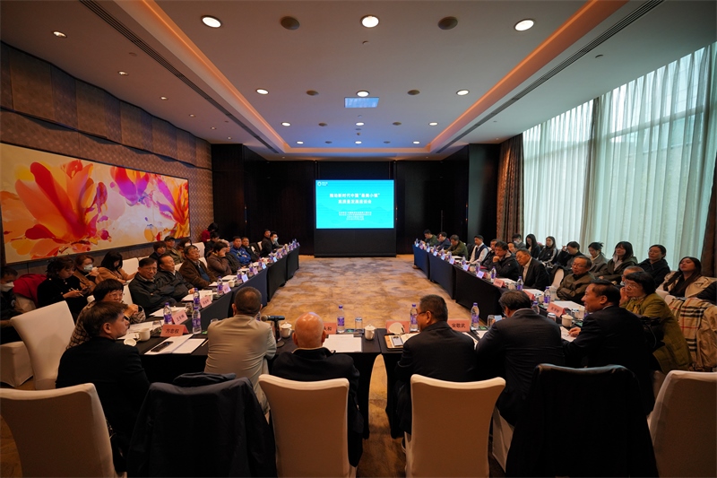 座談會(huì)現(xiàn)場(chǎng)。主辦方供圖