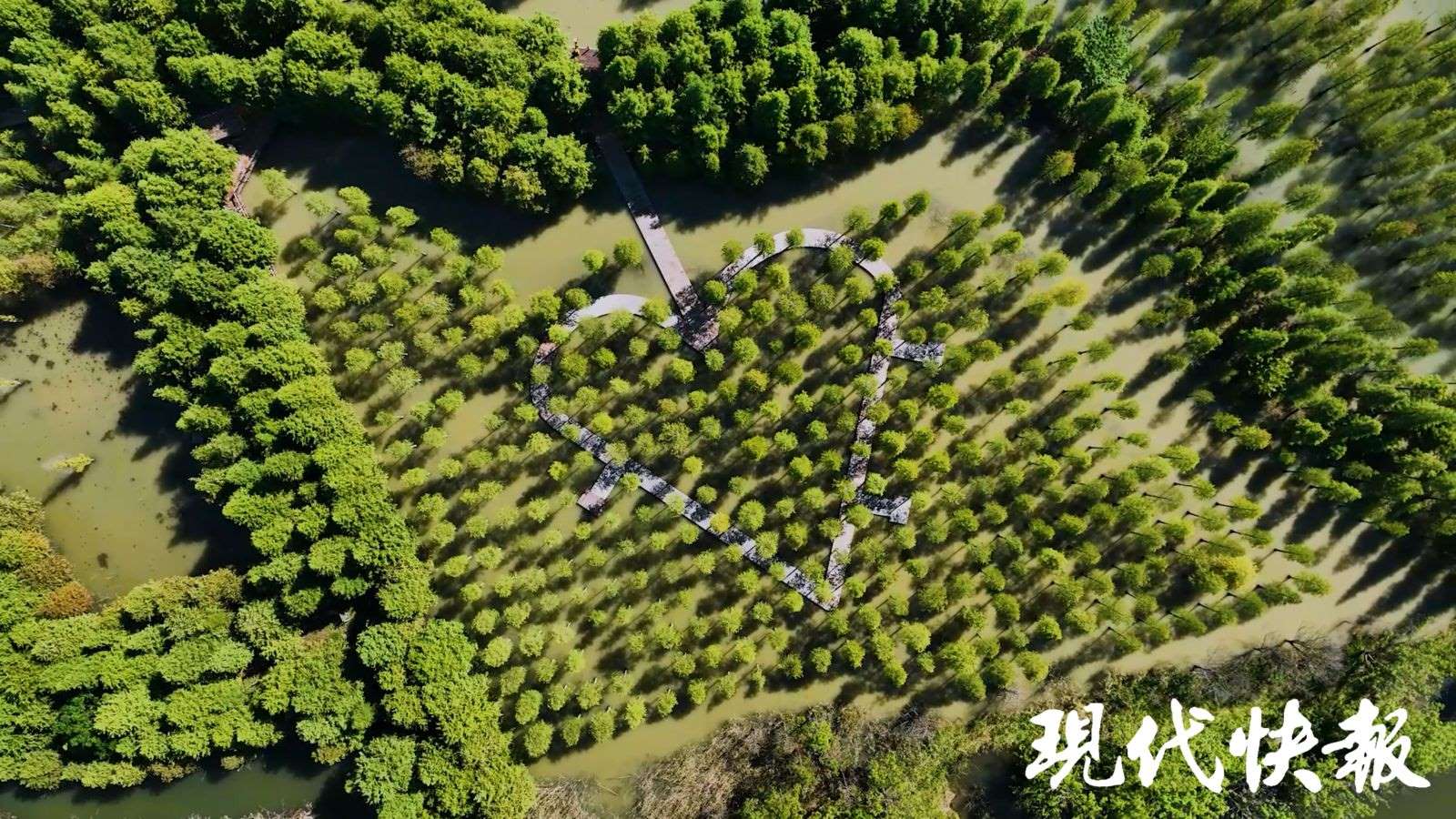 洪澤湖濕地國(guó)家級(jí)自然保護(hù)區(qū)