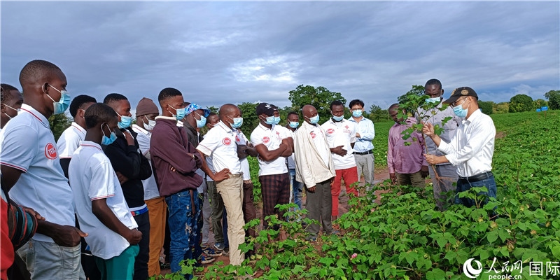 項目組長首小勇向當?shù)孛揶r(nóng)做技術(shù)講解。人民網(wǎng)記者 黃培昭攝