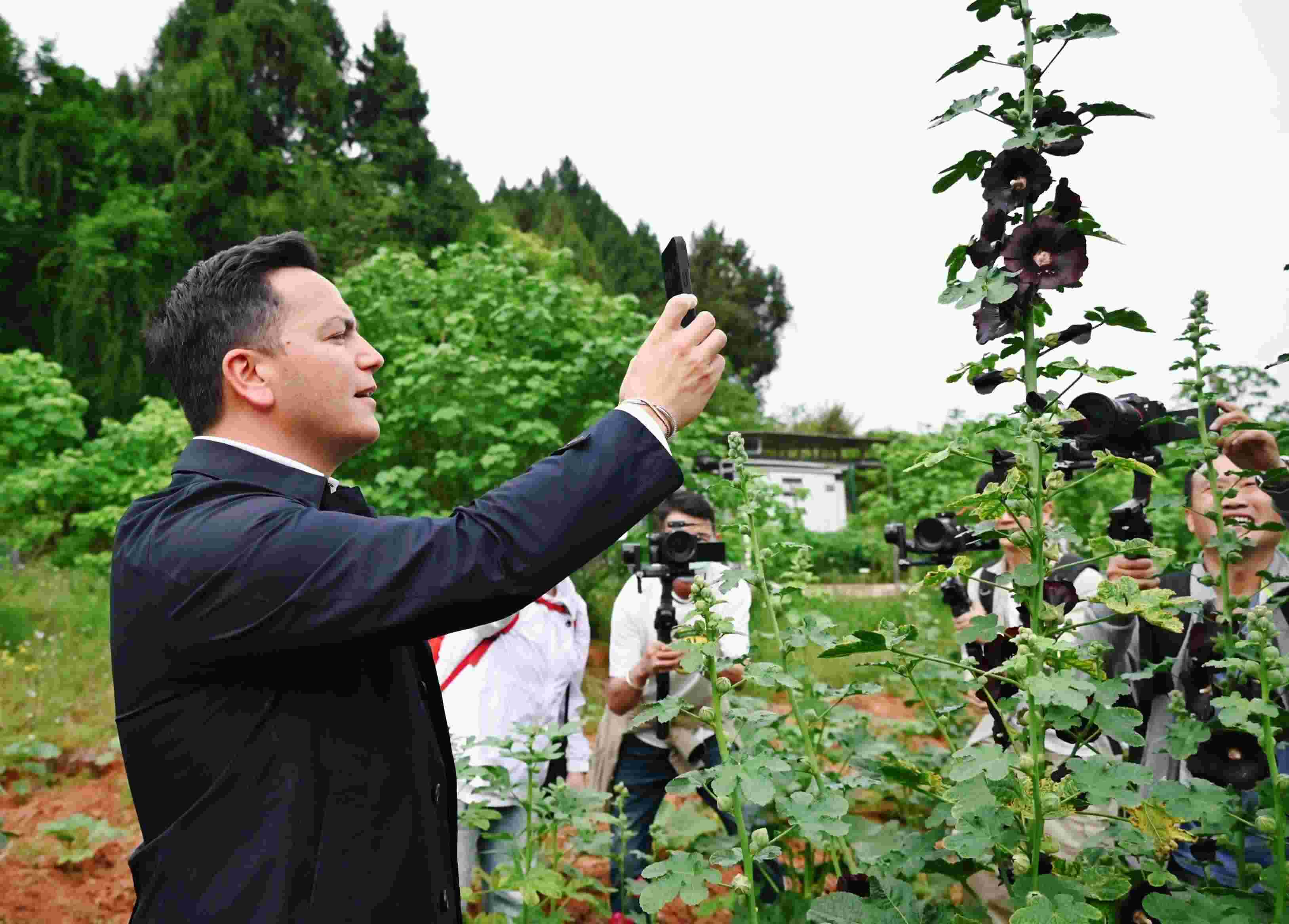  △2024年4月23日，國(guó)際園藝生產(chǎn)者協(xié)會(huì)主席萊昂納多·卡皮塔尼奧在成都市金堂縣鮮花山谷景區(qū)考察蜀葵產(chǎn)業(yè)。