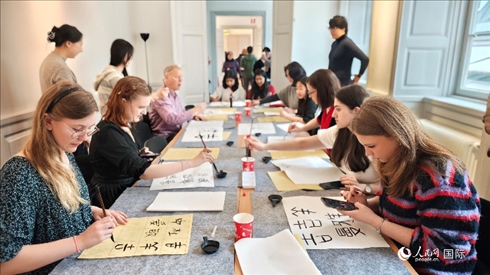 瑞典書法愛好者專心學(xué)習(xí)書法。人民網(wǎng)記者 殷淼攝