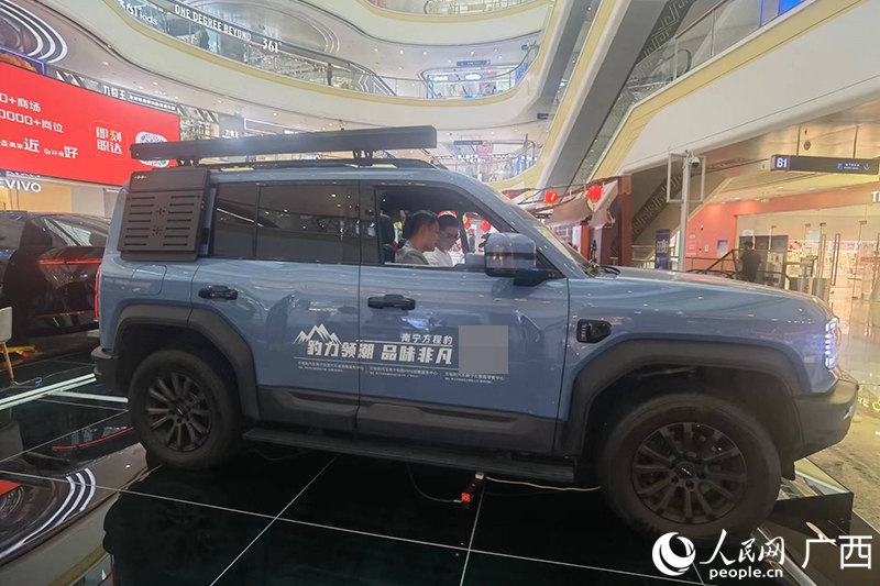 消費(fèi)者在商場選購汽車。人民網(wǎng)記者 陳燕攝