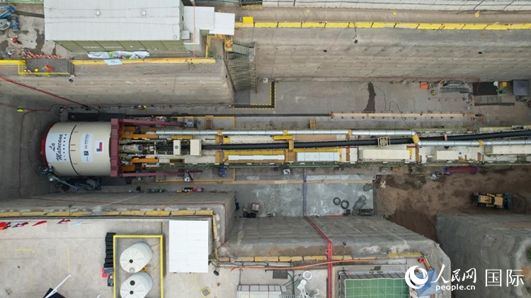 質(zhì)構(gòu)機(jī)全景。陳露明攝