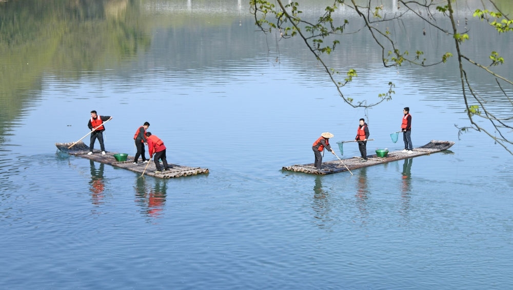 浙江省臺(tái)州市仙居縣步路鄉(xiāng)黨員志愿者與河長(zhǎng)一起在永安溪巡河護(hù)水，清理雜物垃圾（2024年3月20日攝）。新華社發(fā)（王華斌攝）