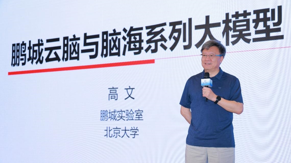 高文院士做大會特邀報(bào)告。主辦方供圖