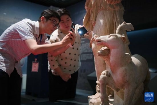 7月2日，安徽博物院工作人員在拍攝開箱后的古希臘文物。新華社記者 張端 攝