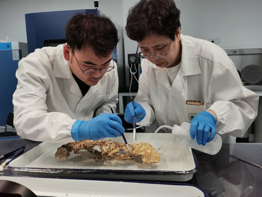 2023年7月，馬燕如（右）帶著魯海子（左）修復(fù)三星堆遺址出土的黃金面具。新華社發(fā)（四川省文物考古研究院供圖）