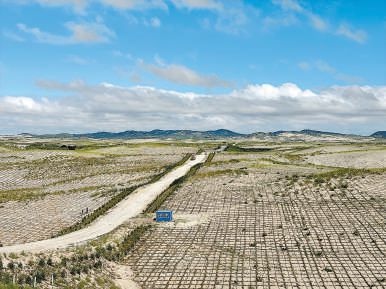 剛剛竣工的其白線穿沙公路。