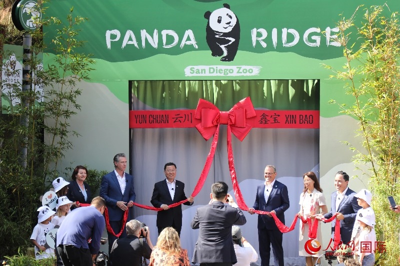 1、中國駐美國大使謝鋒、加州州長紐森、圣迭戈市市長格洛利亞等人共同為“熊貓嶺”開館剪彩。 人民網(wǎng)記者 李志偉攝