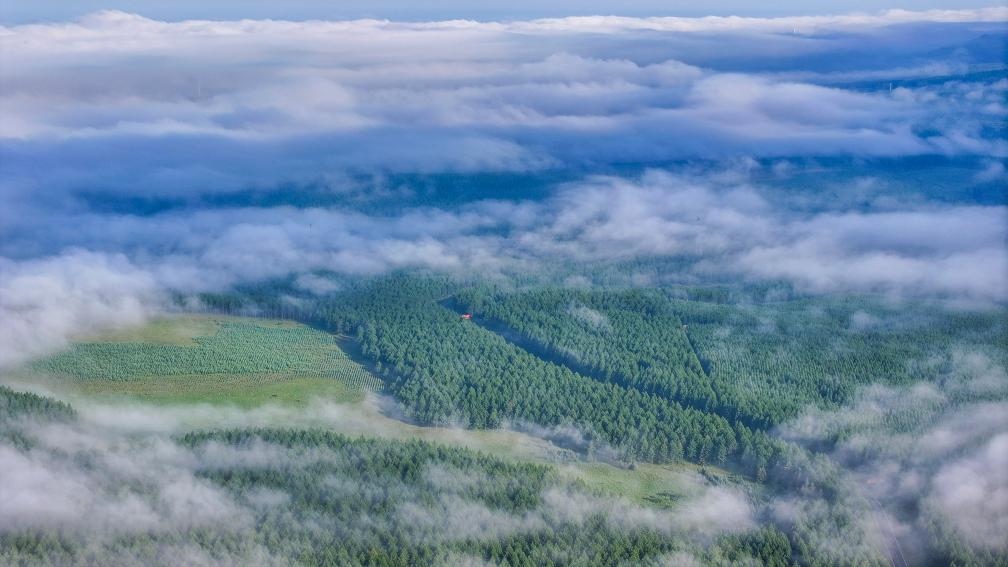 2024年7月26日拍攝的塞罕壩國家級自然保護(hù)區(qū)景色。新華社發(fā)（劉滿倉 攝）