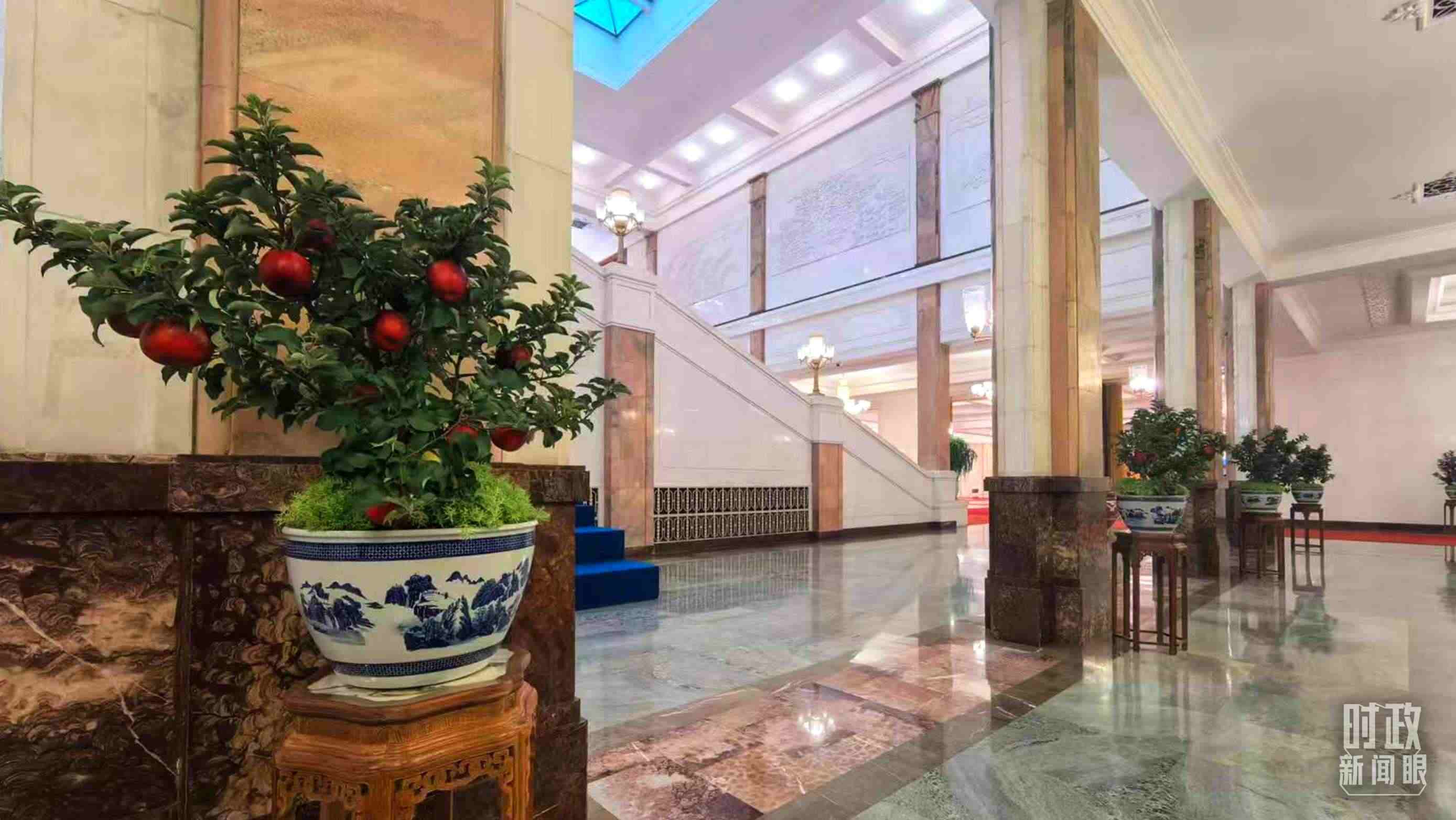  △大會堂內(nèi)的“碩果累累”盆栽。（總臺國廣記者吳倩拍攝）