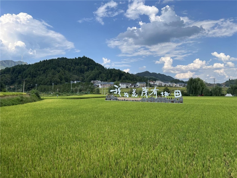 青瓦白磚的黔北民居、風(fēng)中搖曳的稻田、抬手可觸的大片云朵……才剛下車，格魯吉亞“經(jīng)濟(jì)中心網(wǎng)”總編輯莉安娜·喬爾喬利亞尼就被眼前的景色拖住了步履，喃喃細(xì)語(yǔ)：“實(shí)在太美了，讓我內(nèi)心平靜，在這里生活一定非常安逸和幸福。”（邱輝攝）