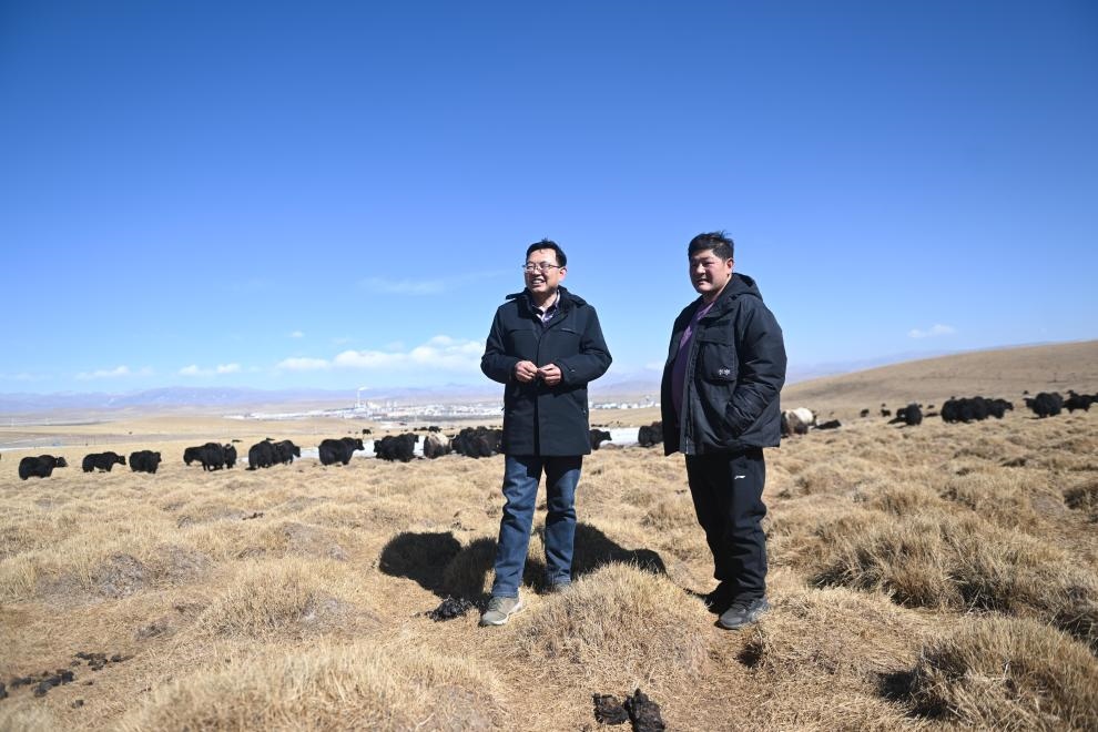 2023年2月24日，在青海省海北藏族自治州海晏縣青海湖鄉(xiāng)達(dá)玉日秀村，全國人大代表董全民（左）查看牧民東知布家的草場。新華社記者 張龍 攝