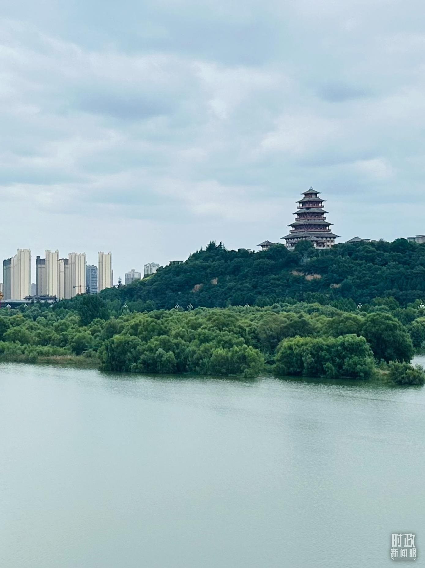 △渭河寶雞段長224公里，目前建成17處渭河灘區(qū)生態(tài)涵養(yǎng)區(qū)。（總臺央視記者范一鳴拍攝）