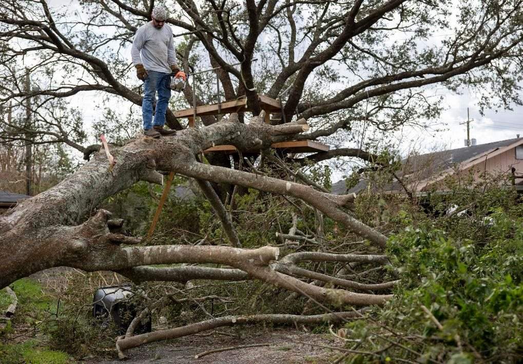 2021年8月30日，在美國路易斯安那州霍馬，一名男子站在被颶風吹倒的大樹上。新華社發(fā)（尼克·瓦格納 攝）