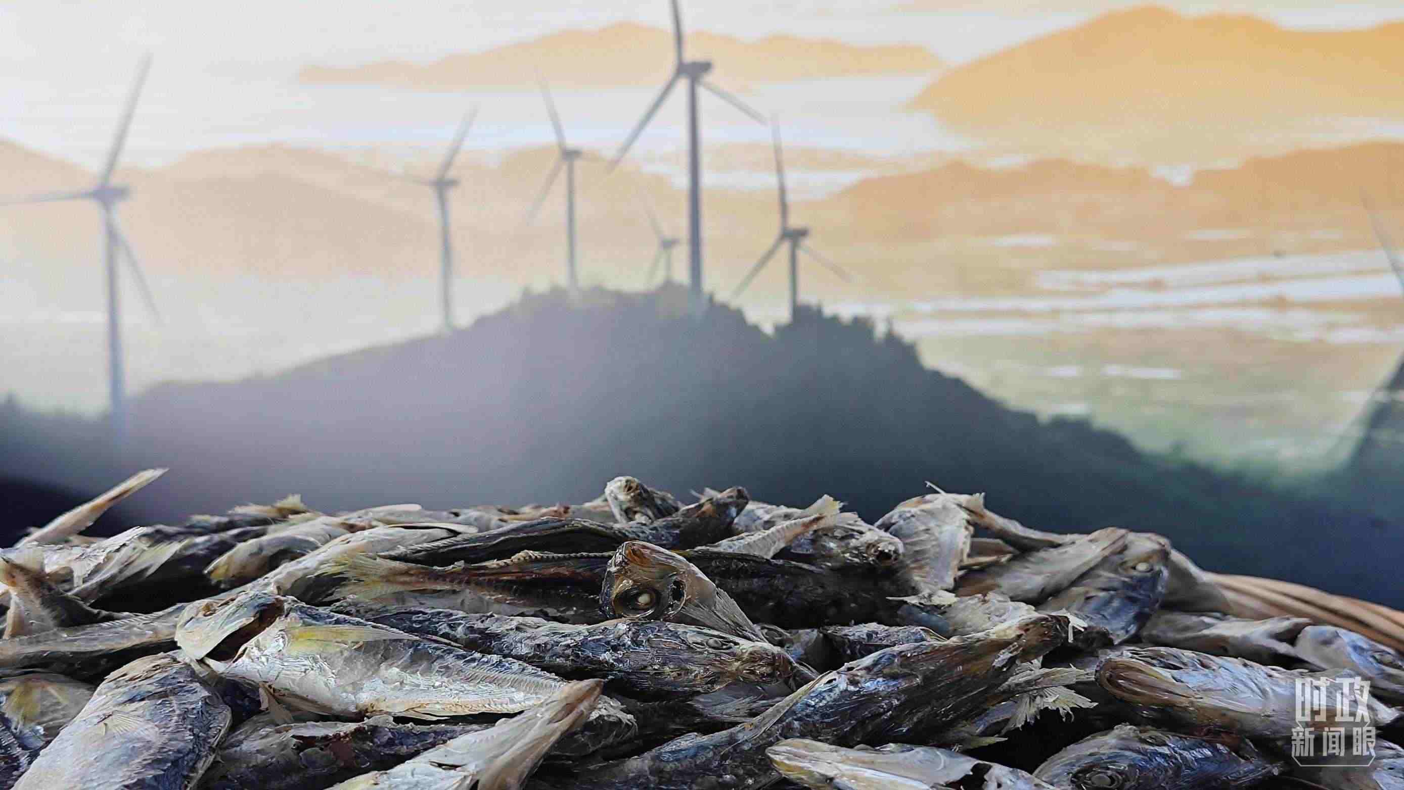 △澳角村的海產(chǎn)品。（總臺央視記者許永松拍攝）