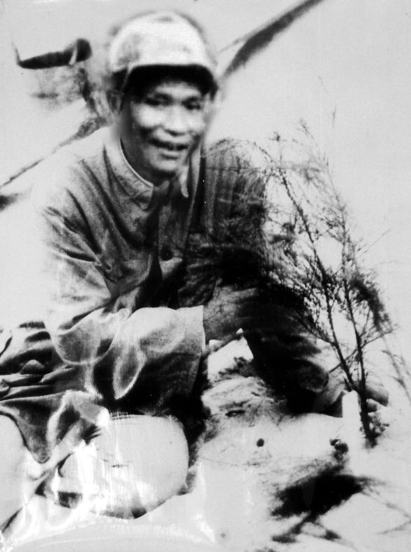 谷文昌與試種成活的木麻黃（資料照片）。為了治沙，谷文昌爬遍了東山縣400多個(gè)山頭，踏遍了30多公里的沙灘，終于帶領(lǐng)東山人民試種木麻黃成功。