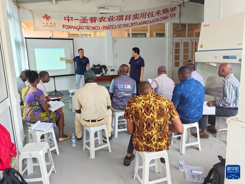 中國援圣普農(nóng)牧業(yè)技術(shù)項(xiàng)目組專家段振華（后左）在圣多美和普林西比的國家獸醫(yī)實(shí)驗(yàn)室開展動(dòng)物疫病監(jiān)測(cè)技術(shù)培訓(xùn)（2024年6月21日攝）。新華社發(fā)（中國援圣普農(nóng)技組供圖）