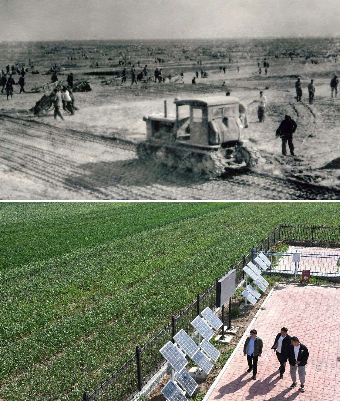 上圖為二十世紀六十年代蘭考改造鹽堿地的情景（資料照片）；下圖為2024年4月18日拍攝的蘭考縣紅廟鎮(zhèn)高標準農(nóng)田示范區(qū)。（新華社記者 朱祥 攝）