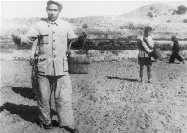 △ 谷文昌在福建省東山縣坑北村參加播種。