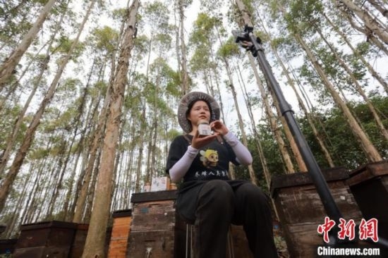 吳素英在網(wǎng)絡(luò)平臺直播介紹蜜蜂和養(yǎng)蜂情況。湯曉逵 攝