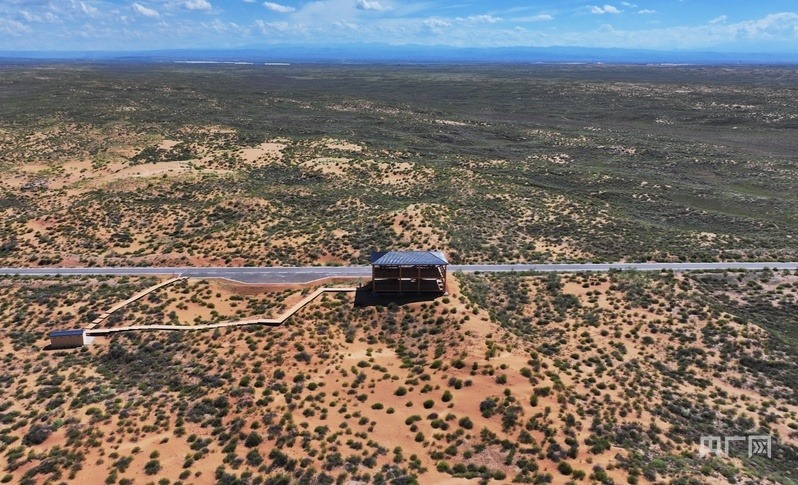 古浪縣一代代人治沙不息，讓綠色向沙漠深處不斷延伸（央廣網(wǎng)記者 李紅軍 攝）