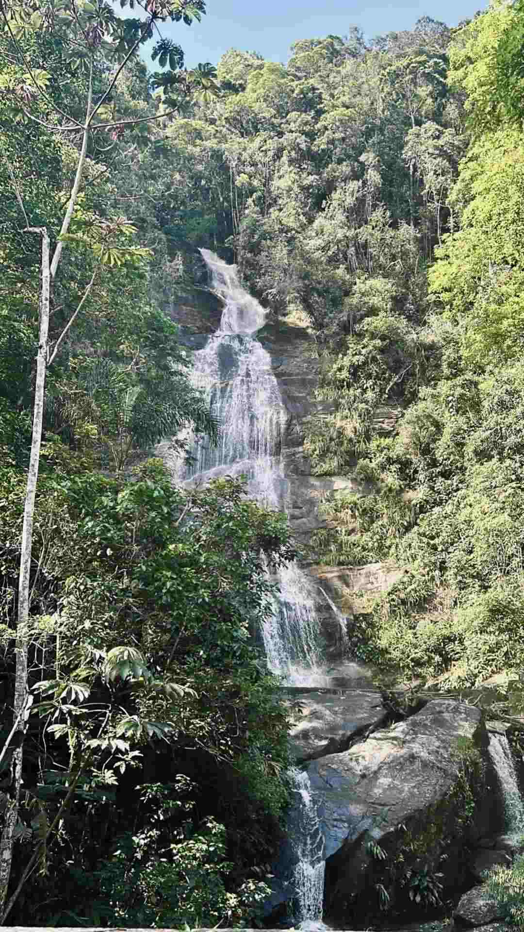 蒂茹卡國(guó)家公園（作者供圖）